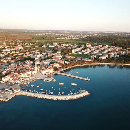 Armando Fažana